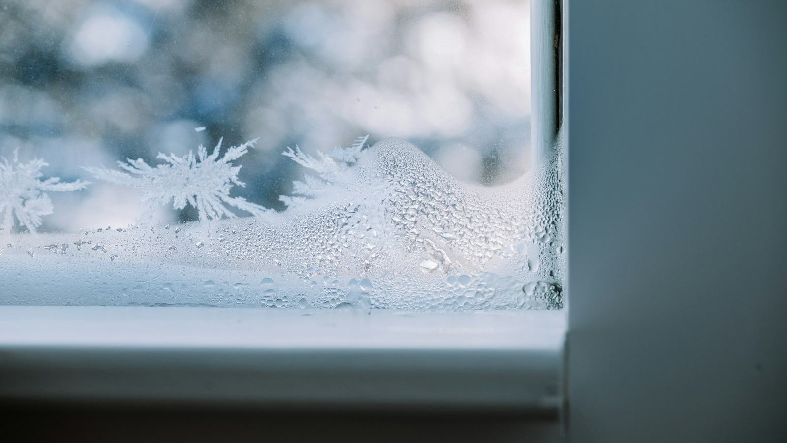 Frost crystals across a windowpane — how FrostList reads NOAA 1991–2020 freeze probability normals