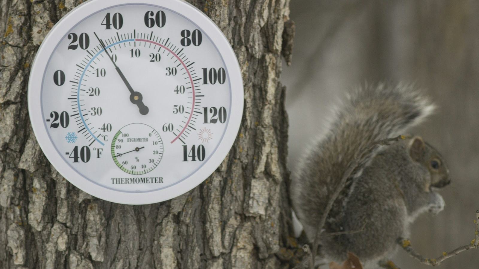 Outdoor thermometer reading freezing on a winter morning — look up any US city’s first-freeze dates