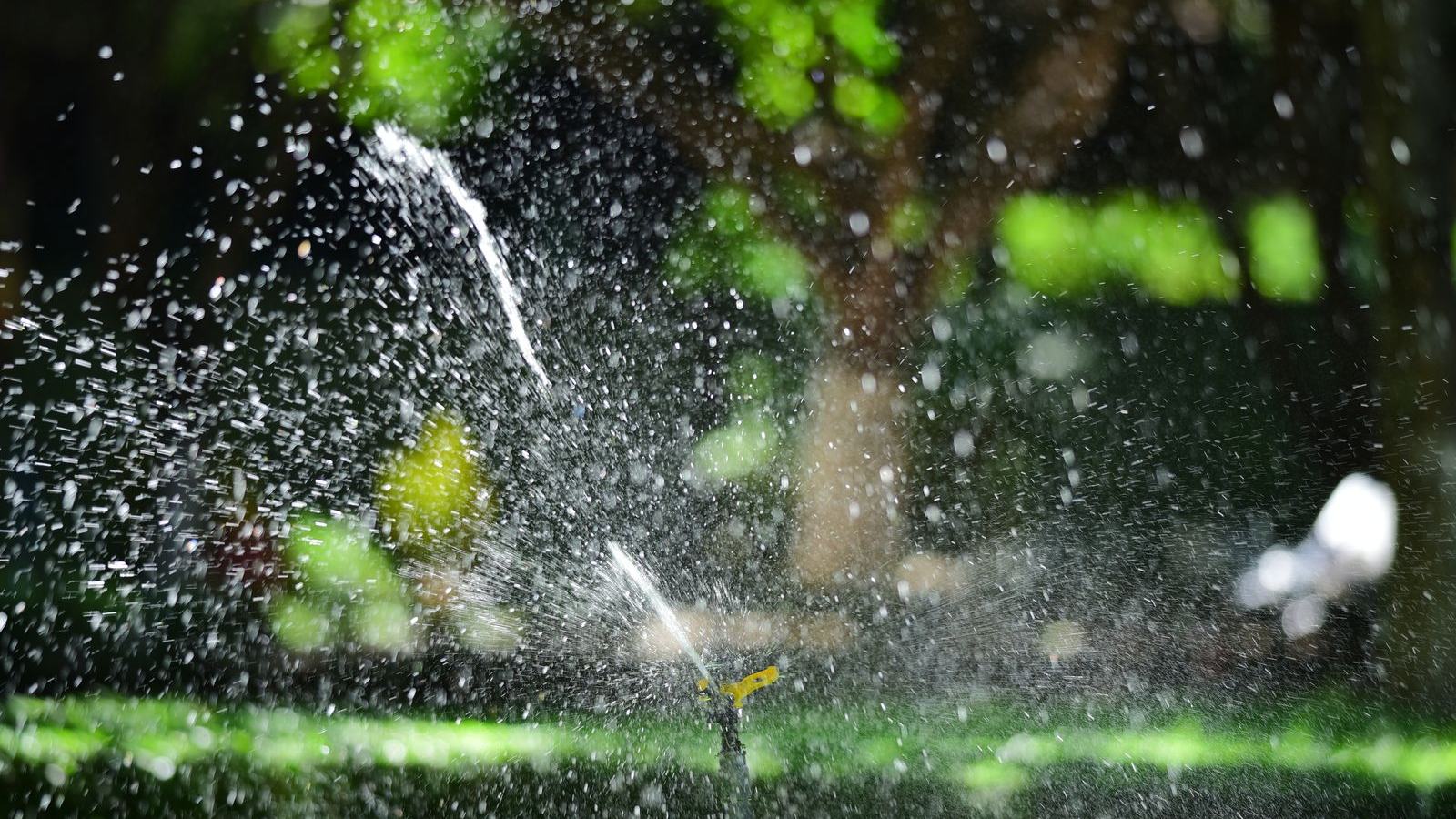 Lawn sprinkler spraying water in low sunlight — blow out irrigation lines before the first hard freeze